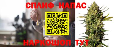 крисы Севастополь